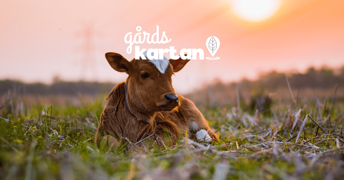 Gårdskartan - närproducerad mat nära dig