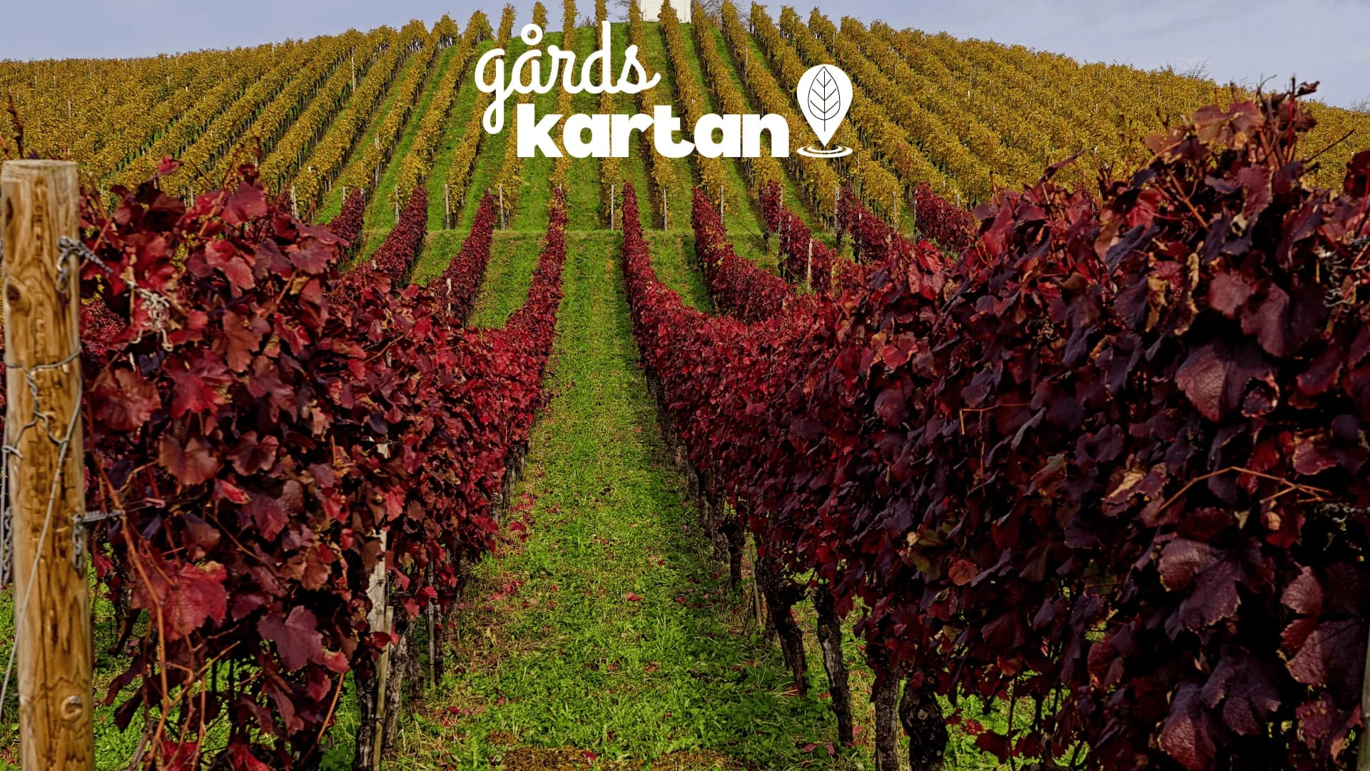 Gårdsförsäljning och alkohol – vad gäller i Sverige?