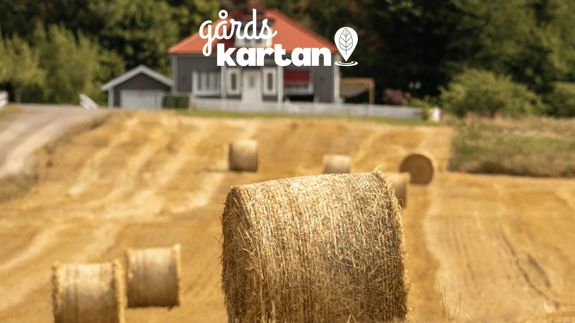 Så stödjer du svenska bönder genom att handla lokalt