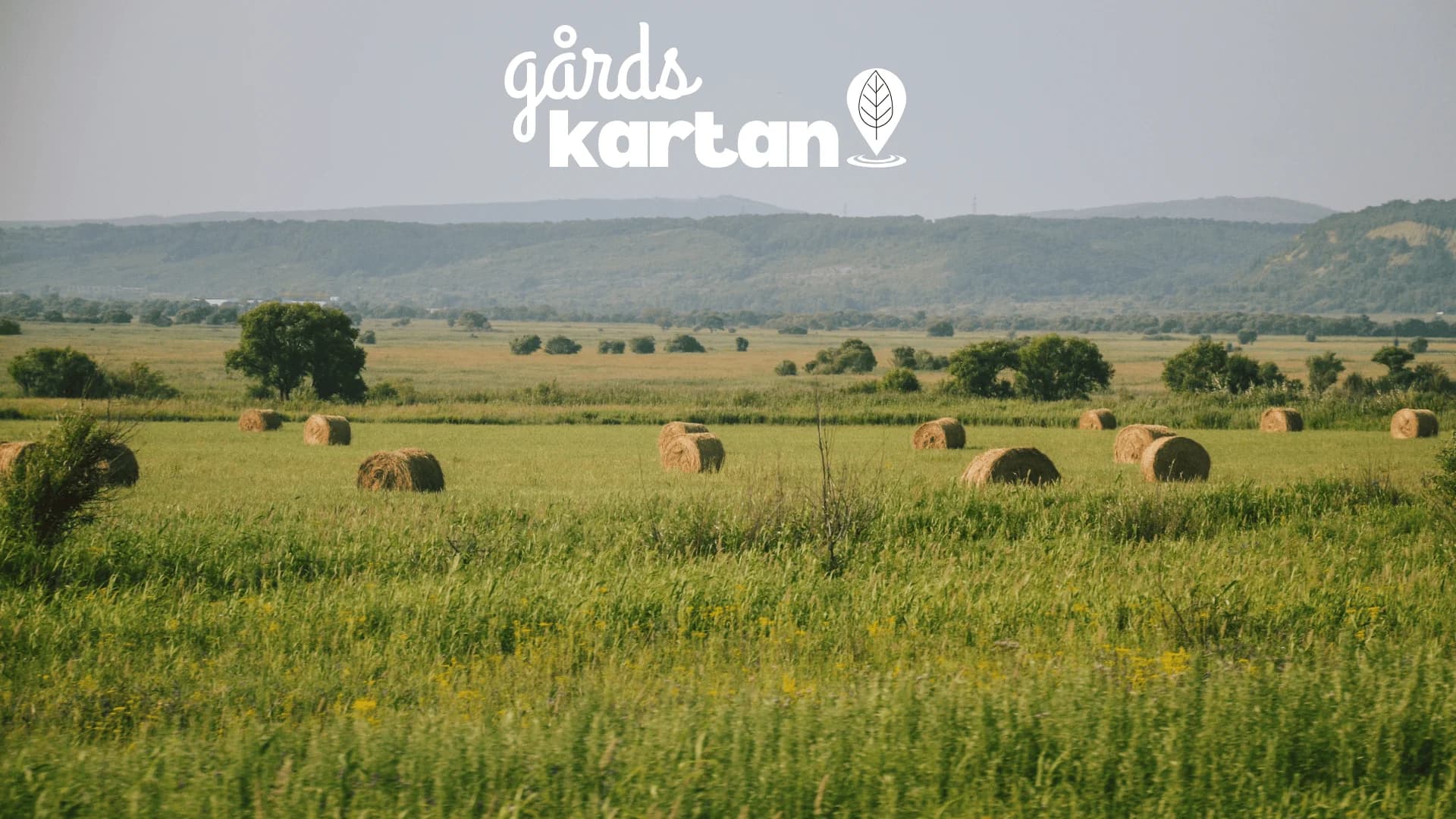 Så marknadsför du din gård och gårdsbutik online